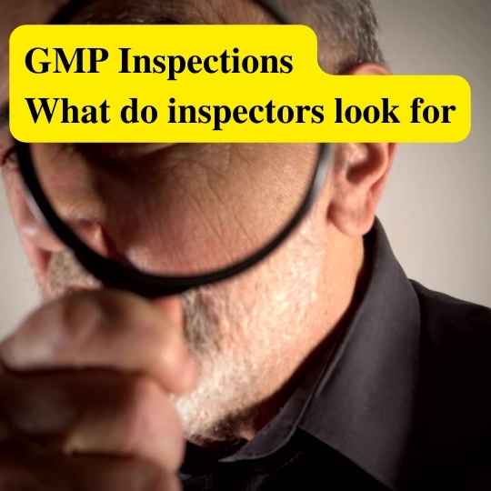 GMP Inspections